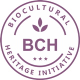 BCH initiative logo