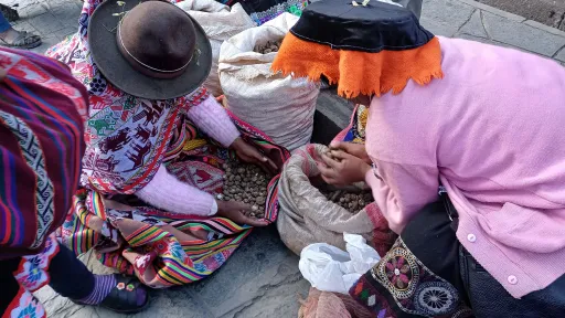 Two women crouching near the floor show and trade crops with one another. 