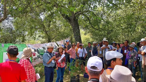 A group of people in colourful clothes gather under a tree, some of which are holding signs.